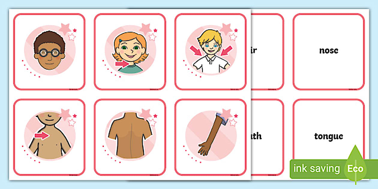 Cursive Body Parts Word and Picture Matching Cards - Twinkl