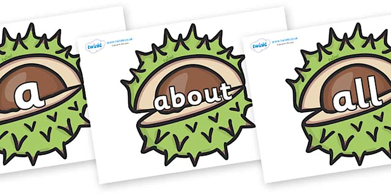 100 High Frequency Words on Conch Shells (teacher made)