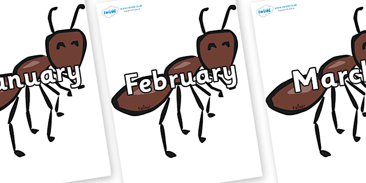 Cursive Months of the Year on Ants (Teacher-Made) - Twinkl