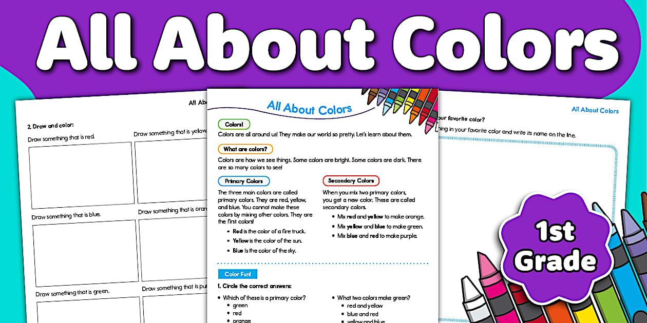 First Grade All About Colors Worksheet (teacher made)