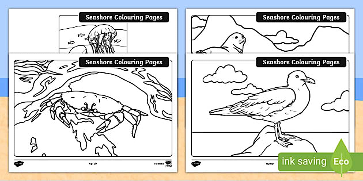 Seashore Colouring Pages Junior/Senior Infants