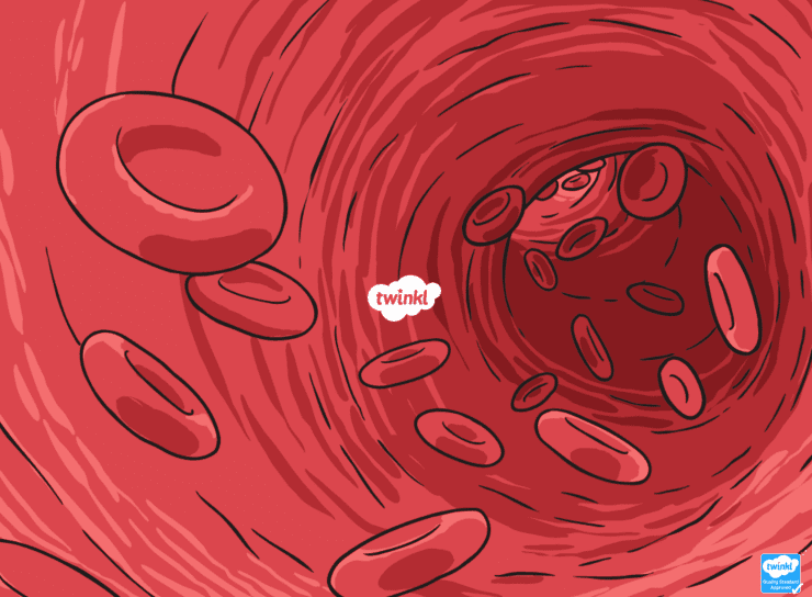  Día Mundial del Donante de Sangre