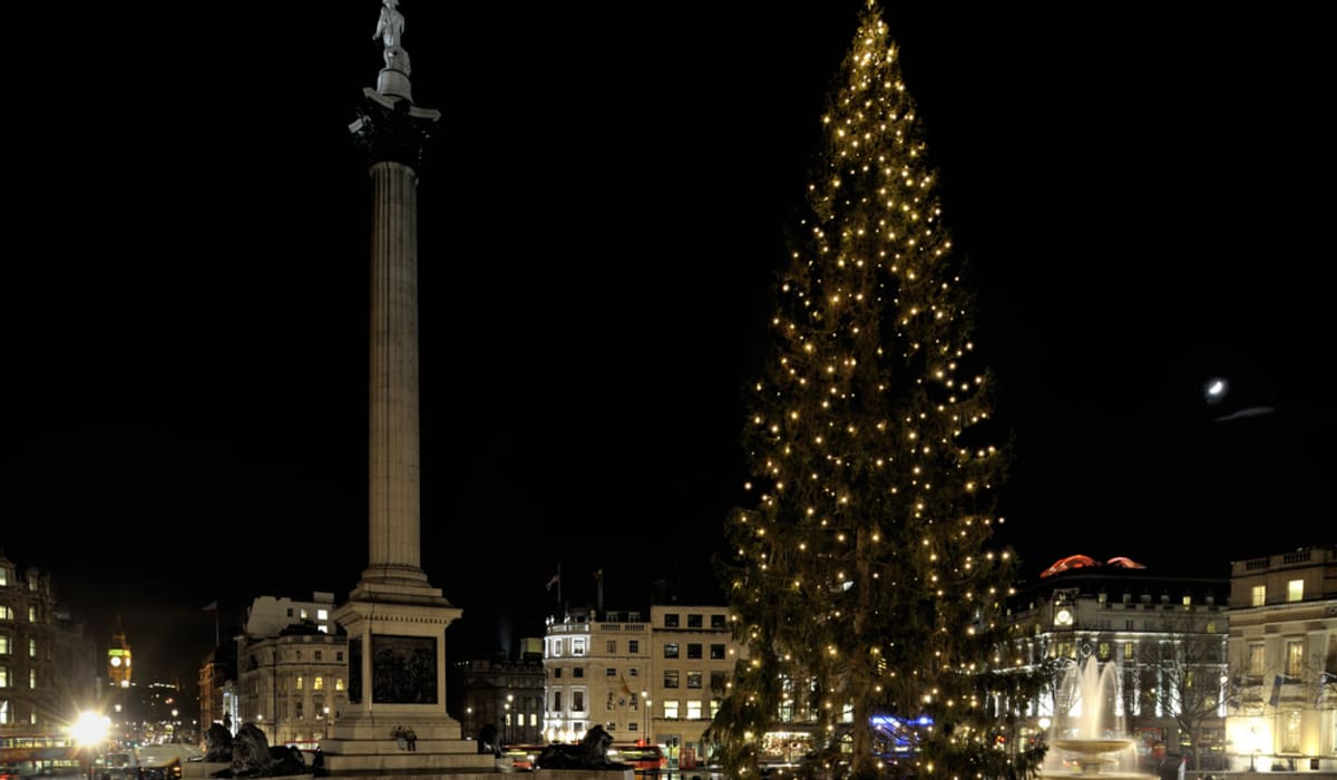 Why Does Norway Send the UK a Christmas Tree? Twinkl NewsRoom