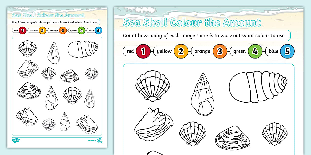 * NEW * Sea Shell Colour the Amount Worksheet - Twinkl