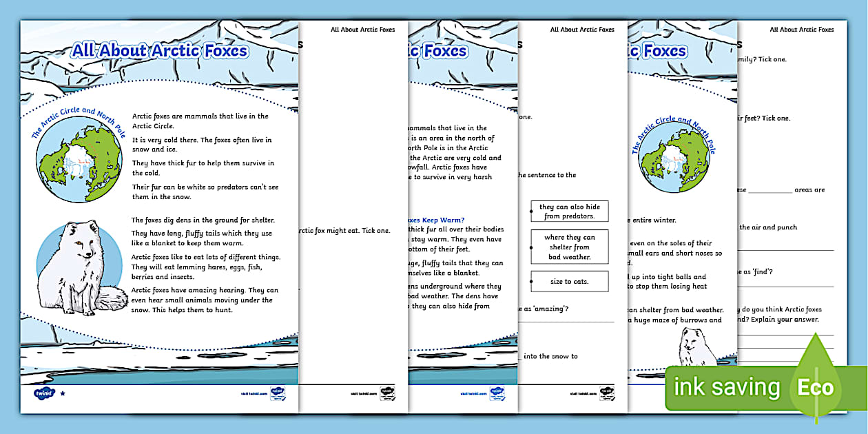 Black and White KS1 All About Arctic Foxes Differentiated Reading