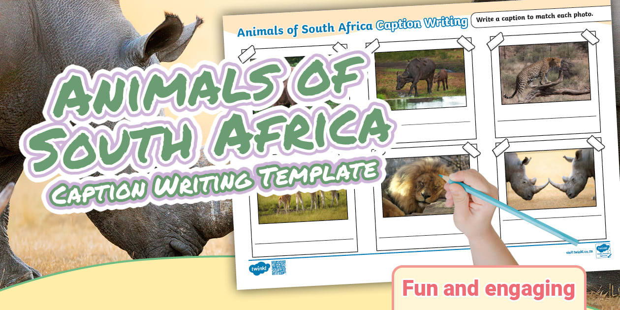 Animals of South Africa - Caption Writing Template