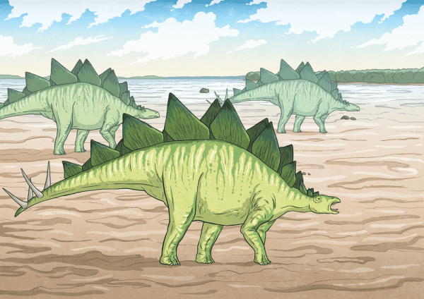 An illustration of stegosaurus in their habitat