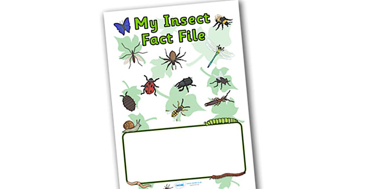 NSW My Insect Fact File Book Cover (teacher made) - Twinkl