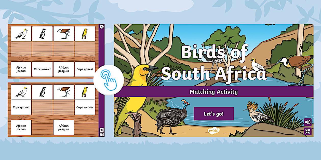 Birds of South Africa Interactive Matching Activity - Twinkl