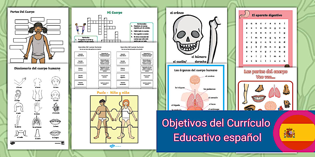 Pack de Ciencias de la Naturaleza: El cuerpo humano y su funcionamiento