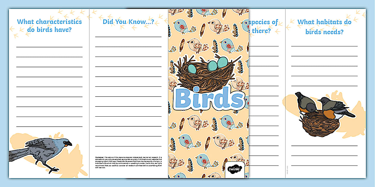 Birds Leaflet Template (Teacher-Made) - Twinkl