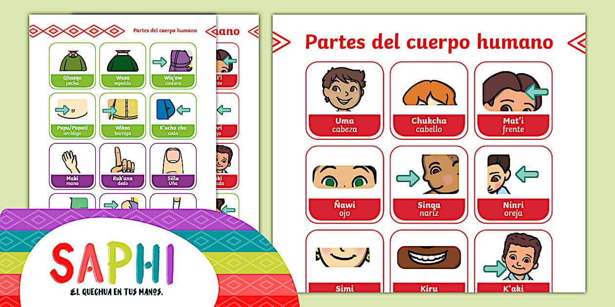 FREE! - Partes del cuerpo Quechua/Español | SAPHI & Twinkl