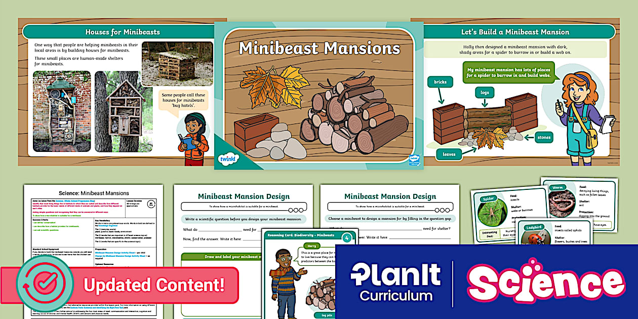 Beasts Science Science: Biodiversity - Minibeasts: Minibeast Mansions Y2 Lesson 4