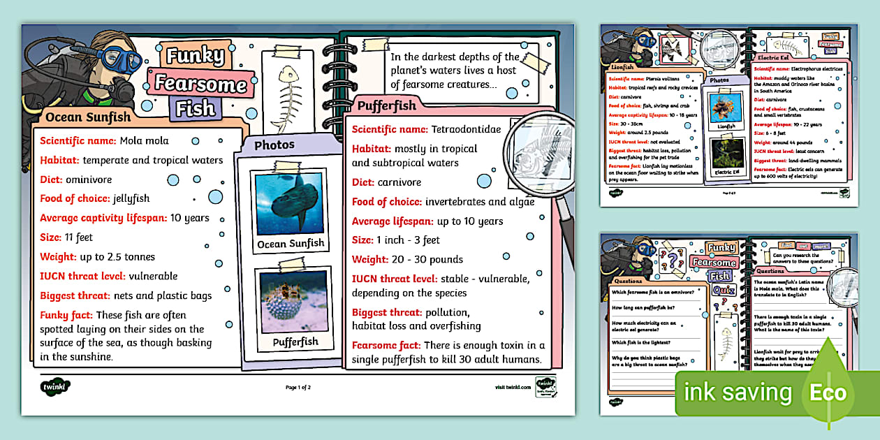 Funky Fearsome Fish Fact File and Quiz (teacher made)