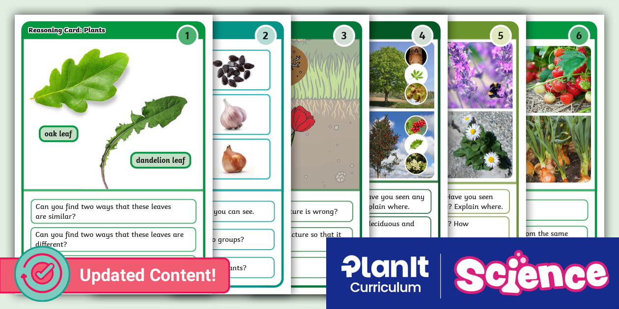 Reasoning Card Science: Plants: Year 1 Reasoning Cards