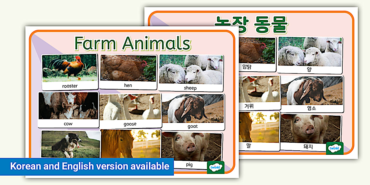 농장 동물 포스터 Farm Animals Photo Display Poster
