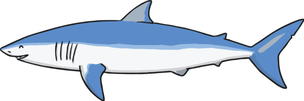 What are Aquatic Animals? - Answered - Twinkl Teaching Wiki