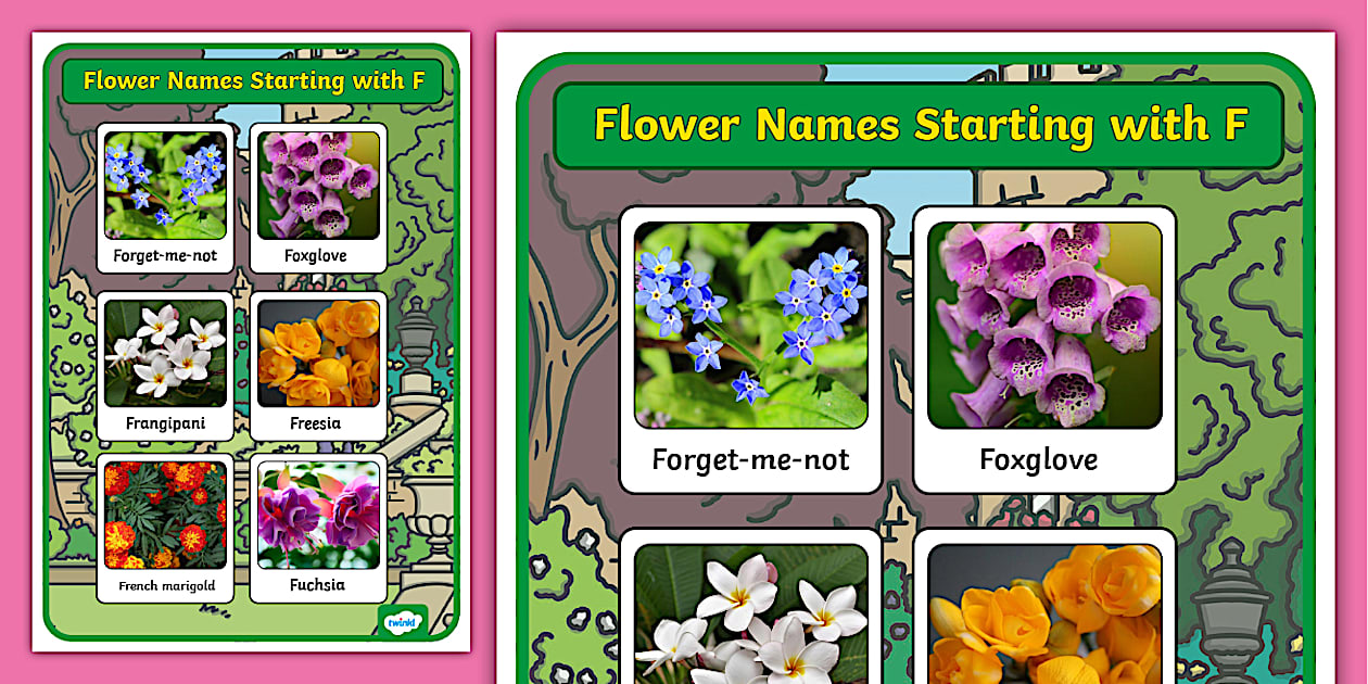 Flower Names Starting with F Display Poster (teacher made)