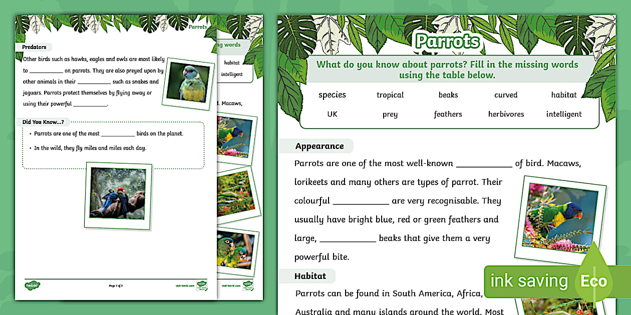 Parrots Cloze Worksheet (Teacher-Made) - Twinkl