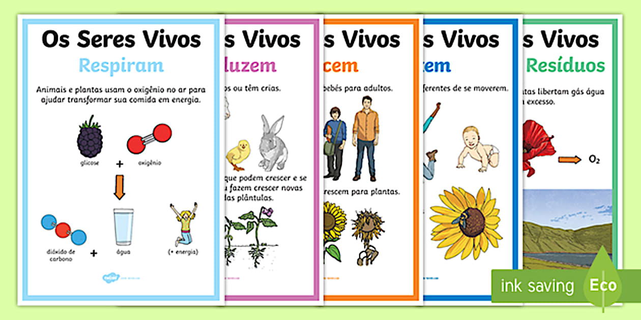 Características dos Seres Vivos Conjunto de Cartazes
