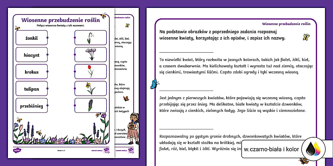 Wiosenne przebudzenie roślin | Karty pracy (Teacher-Made)
