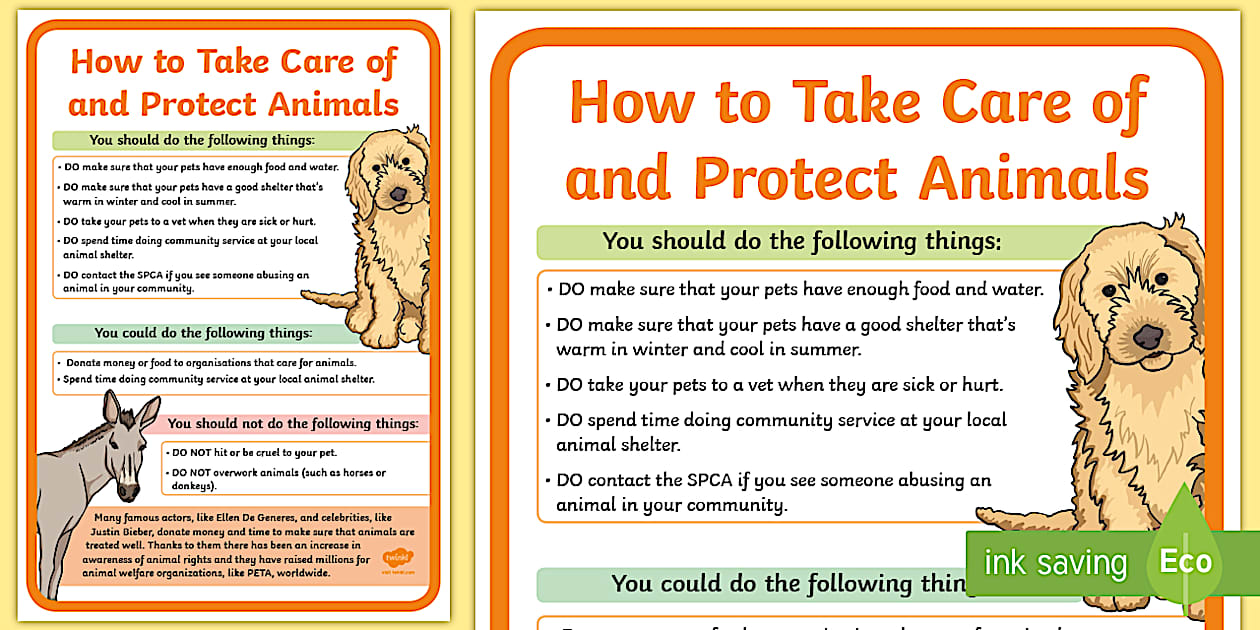 How to Identify and Report Illegal Wildlife Trade Activities on ... - How To Protect Wildlife