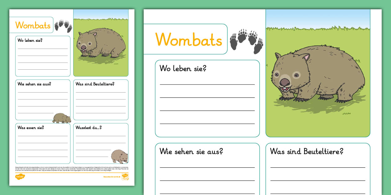 Wombat - Fakten Schreibvorlage (teacher made) - Twinkl