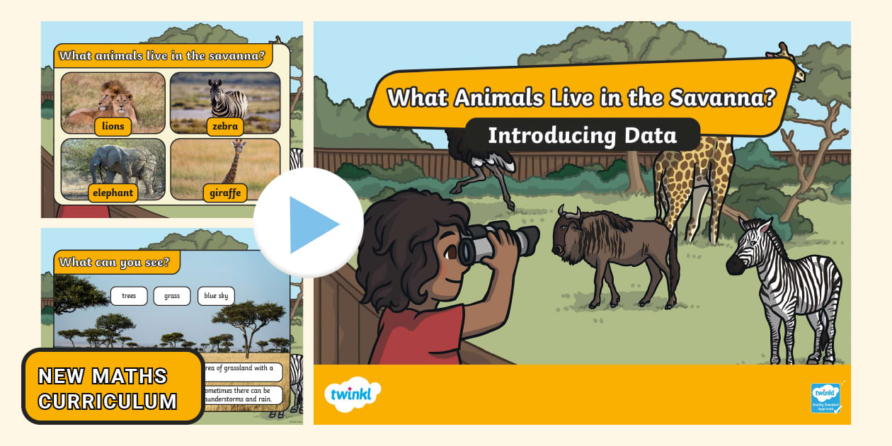 Safari Animals Data PowerPoint (teacher made) - Twinkl