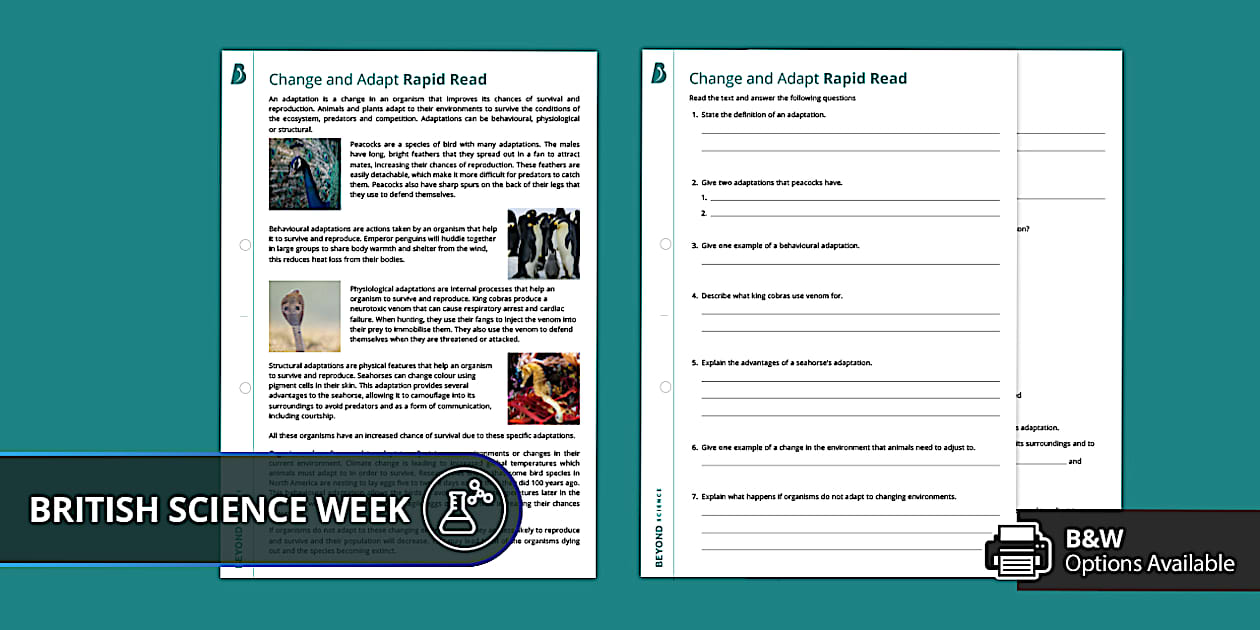 Change and Adapt Rapid Read | British Science Week | Beyond