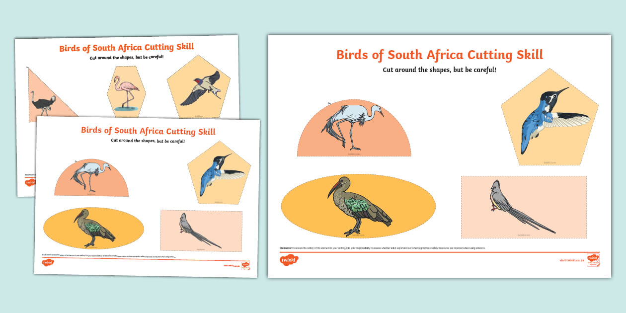 Picture Idea: Birds Of South Africa Cutting Skills Worksheet
