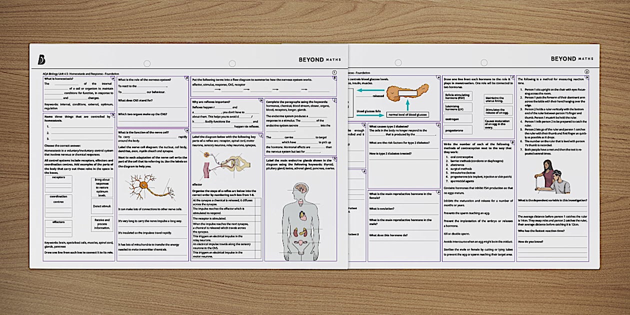 Homeostasis Revision Activity Homeostasis Worksheet