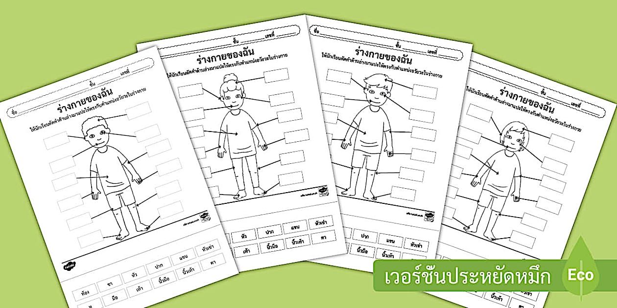 ใบงานตัดแปะ อวัยวะส่วนต่าง ๆ ของร่างกาย