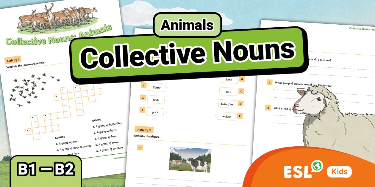 ESL Animals Collective Nouns Activity Sheet