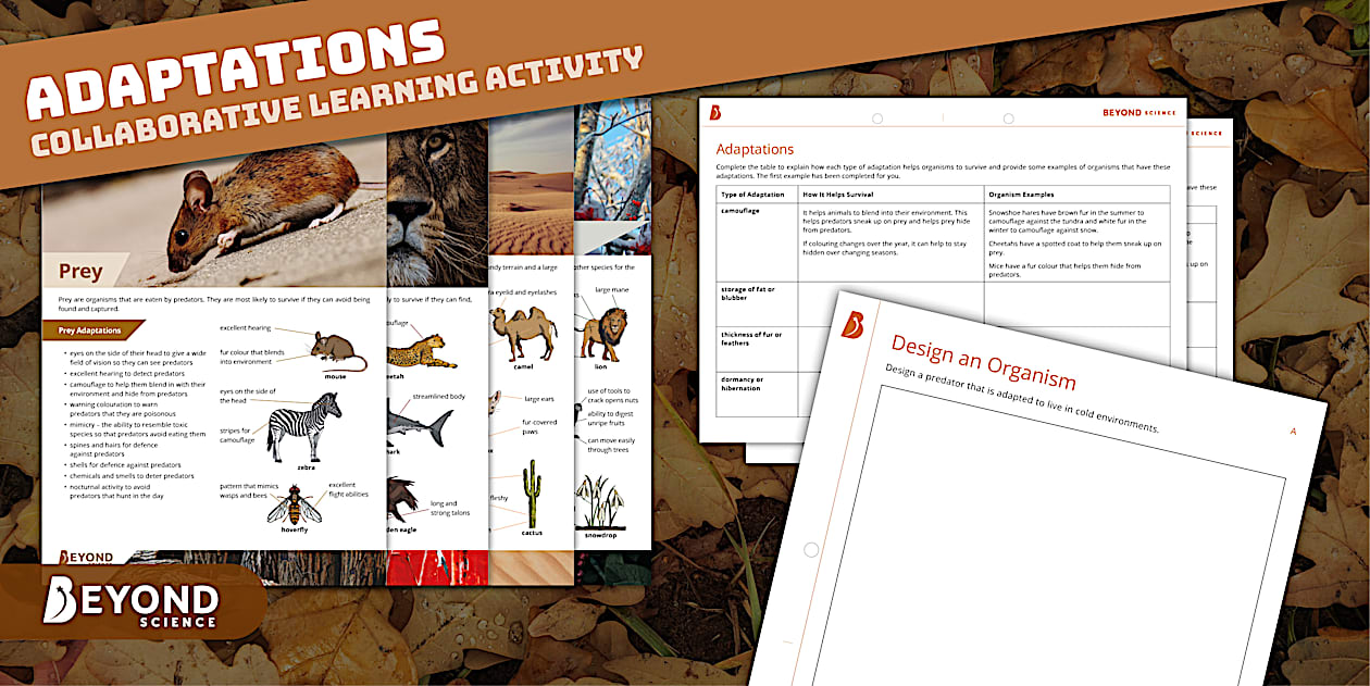 Adaptations Collaborative Learning Activity | Beyond Science