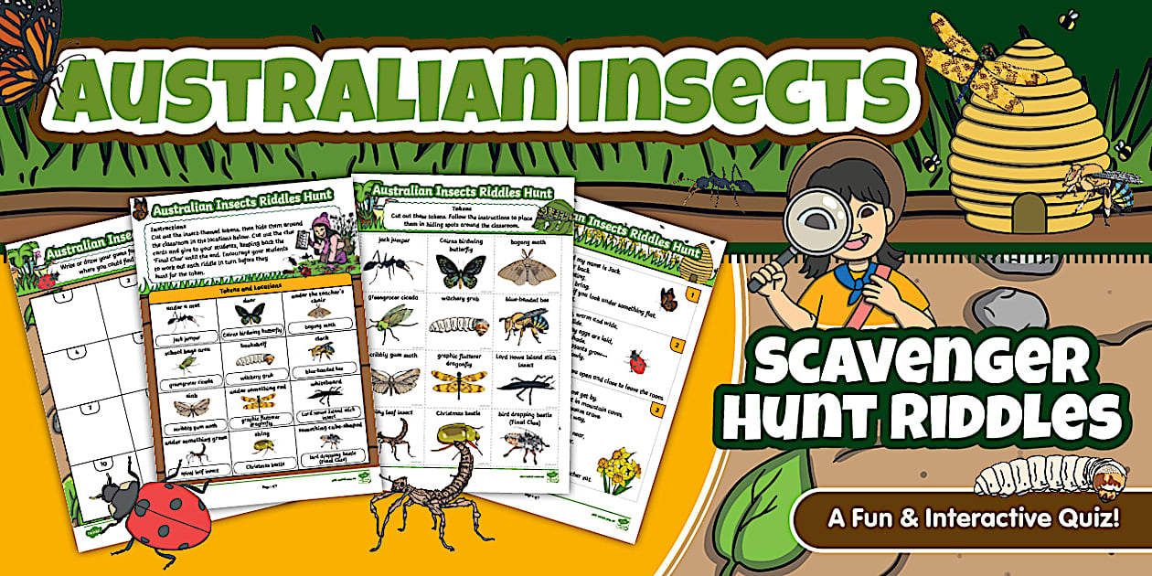 Australian Insects Scavenger Hunt Riddles