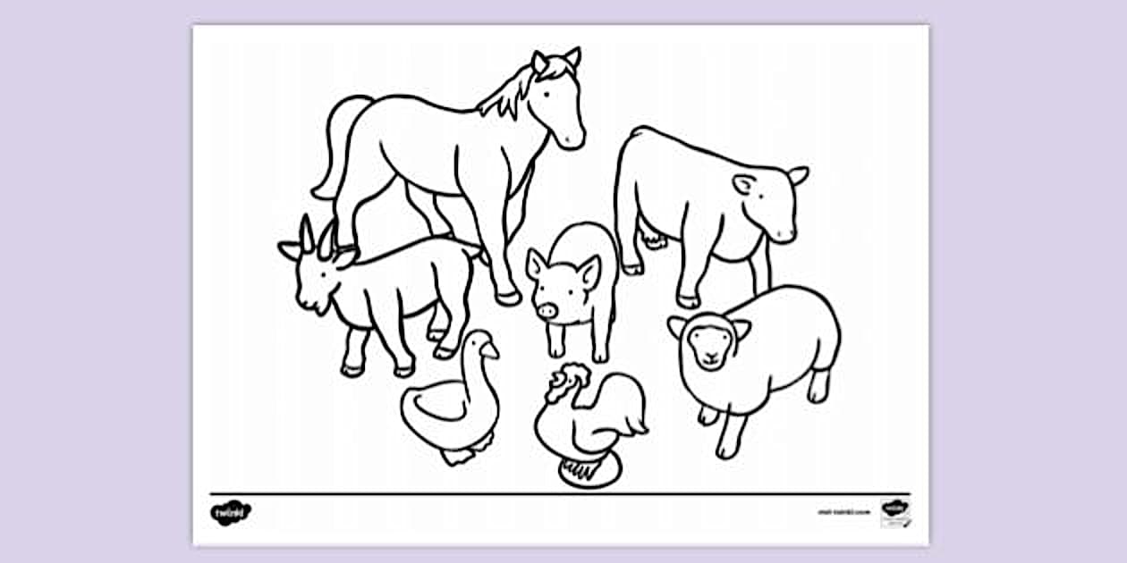 Farm Animal Colouring Page | Colouring Sheets - Twinkl
