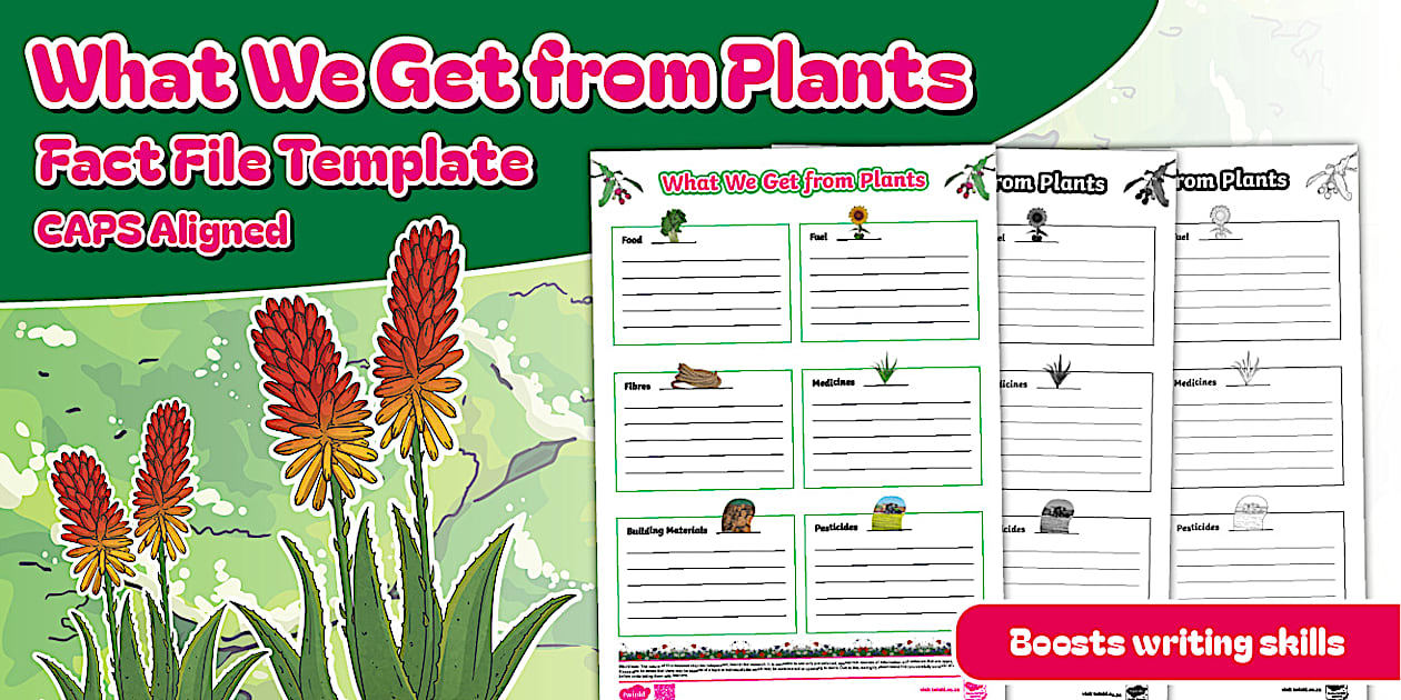 Intermediate Phase Natural Science - What We Get from Plants - Fact File