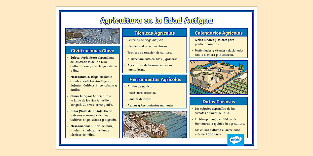 Infografía La Agricultura en la Edad Antigua Twinkl Colombia