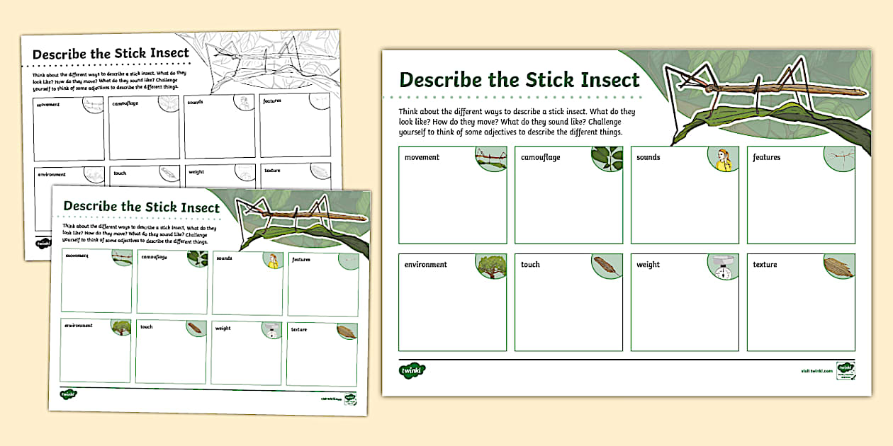 Stick Insect Adjectives Worksheet