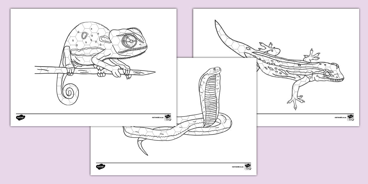 Sab Colouring South African Reptile Mosaic Colouring Sheet