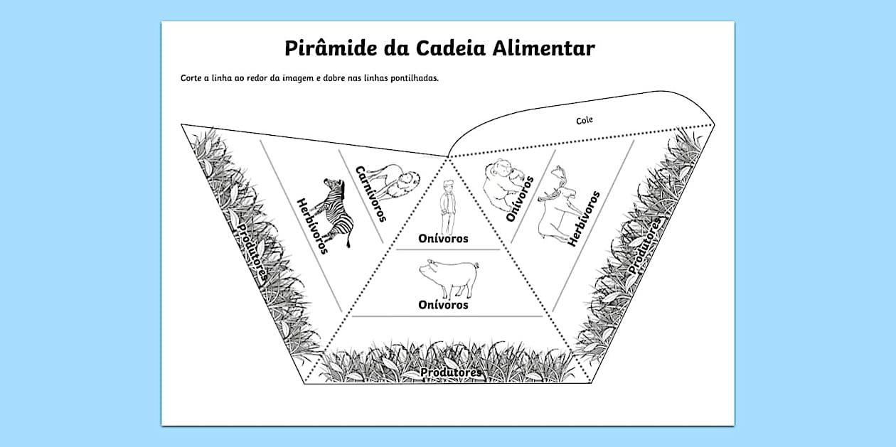 Pirâmide da Cadeia Alimentar (teacher made) - Twinkl