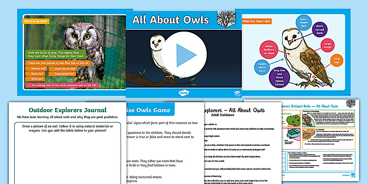 Outdoor Explorers: KS1 Winter Lesson 5 All About Owls