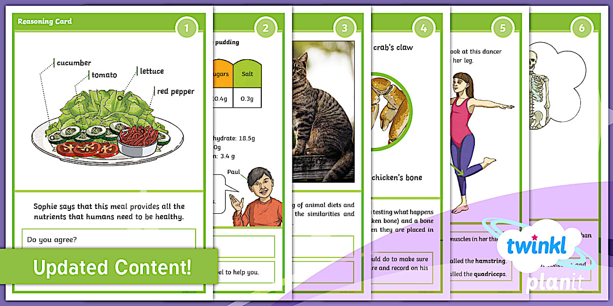 Reasoning Card Science Questions For Kids | Animals, Including Humans | Y3