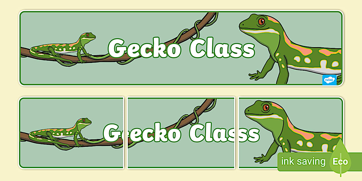 Cursive Gecko Themed Classroom Banner (l'enseignant a fait)