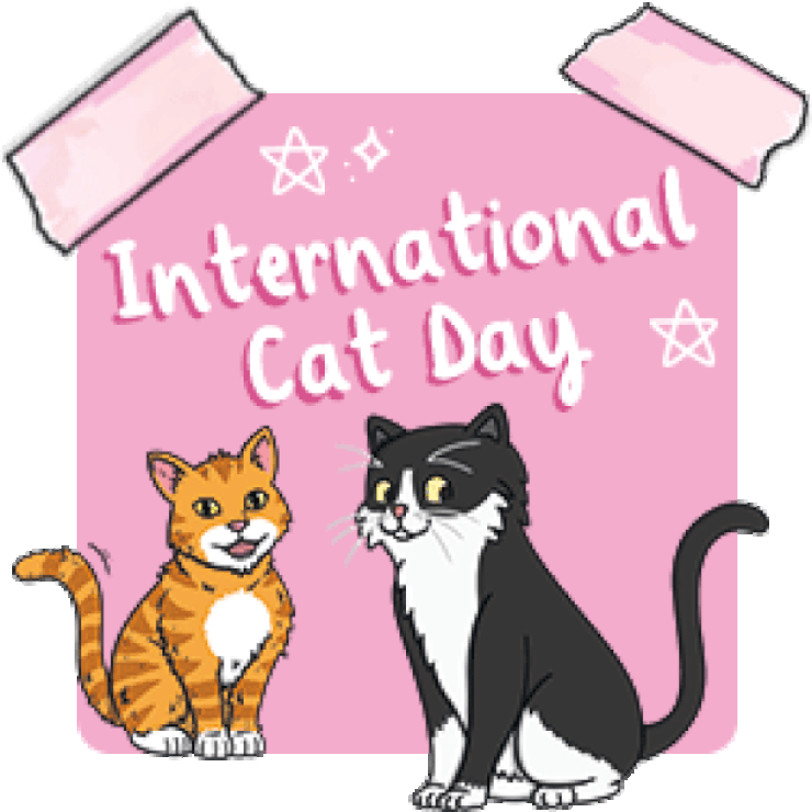 International Cat Day New Zealand Twinkl