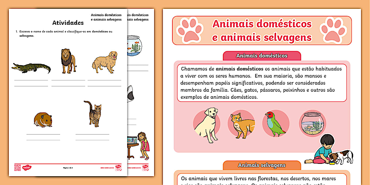 Animais domésticos e selvagens (teacher made) - Twinkl