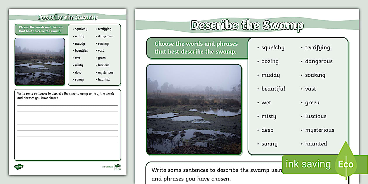 HOW TO DESCRIBE A SWAMP visual data 3