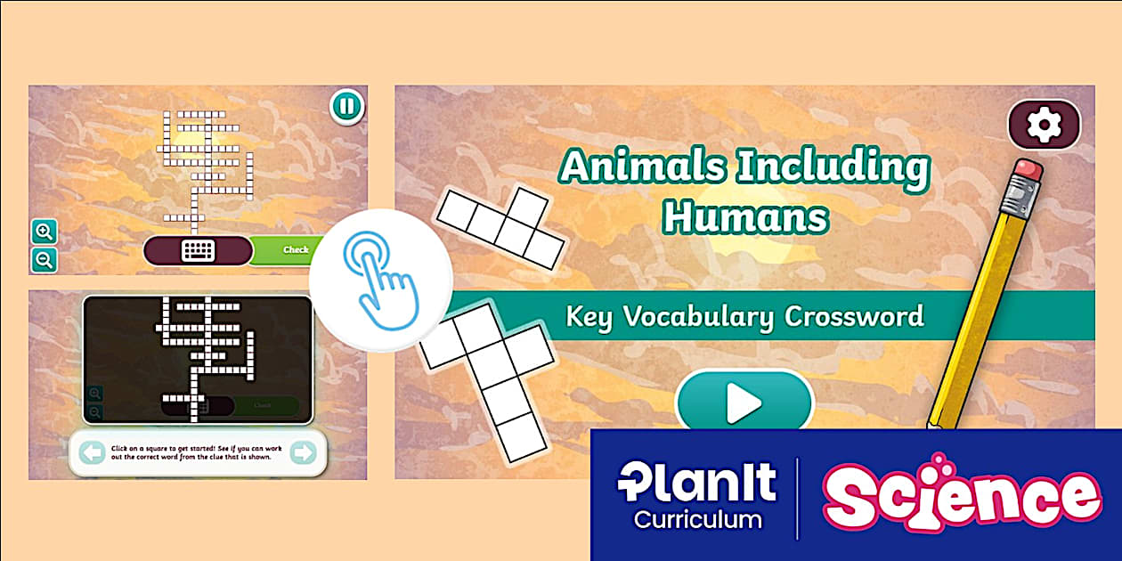 Year 5 Animals Including Humans Key Vocabulary Crossword