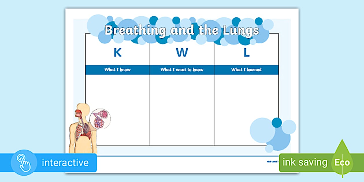 Breathing and the Lungs KWL Chart 3rd & 4th Classes