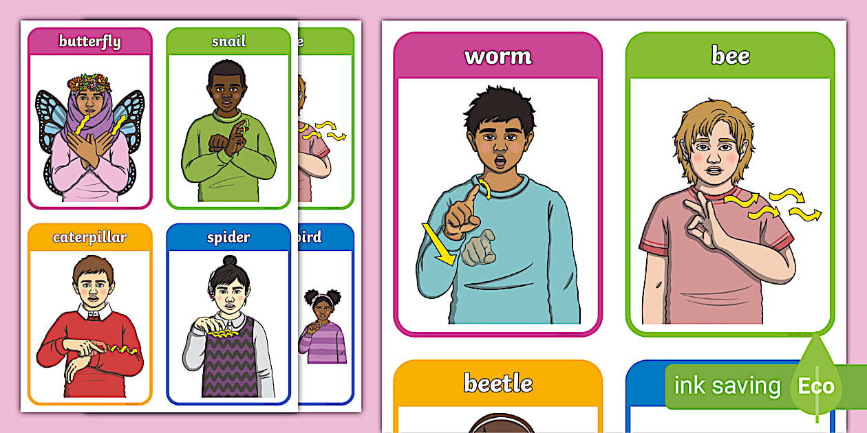 BSL Minibeasts Flashcards | Twinkl SEND Resources - Twinkl